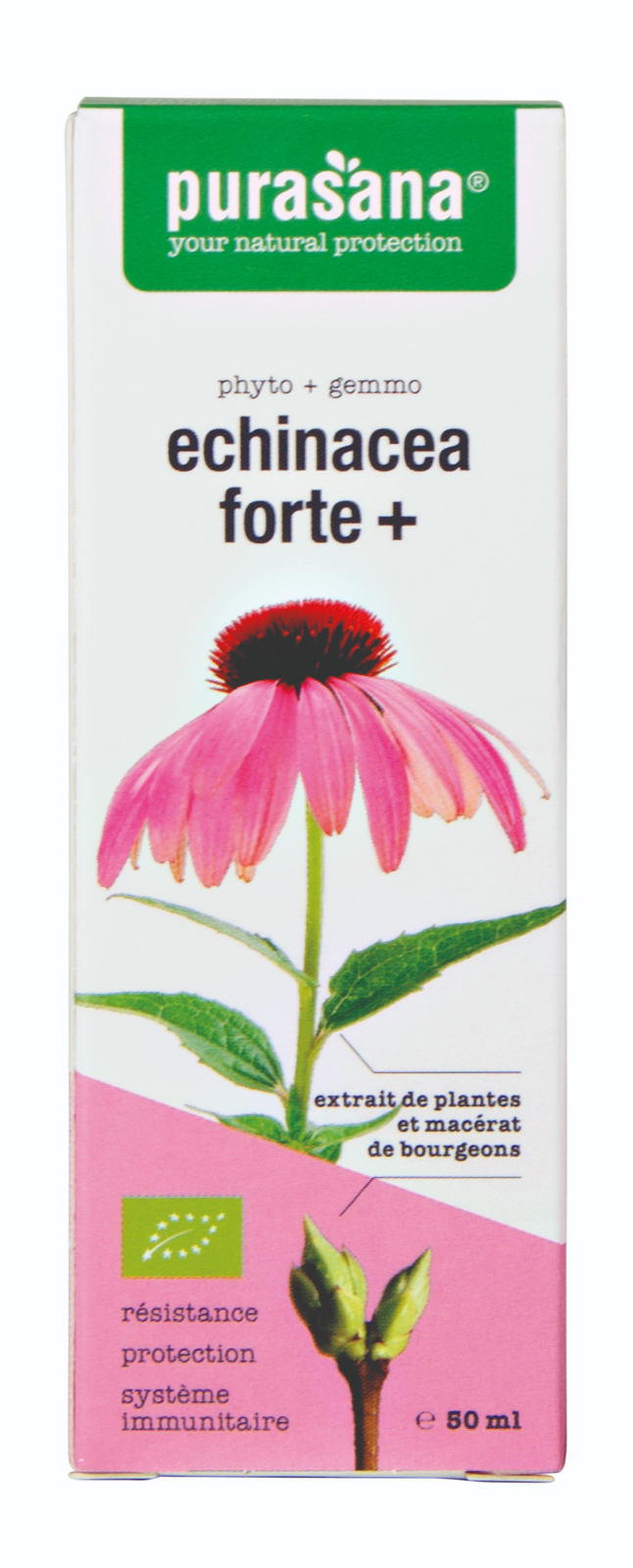 Purasana Echinacea Forte+ Druppels