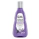 Guhl Zilverglans & Verzorging Shampoo 250ML
