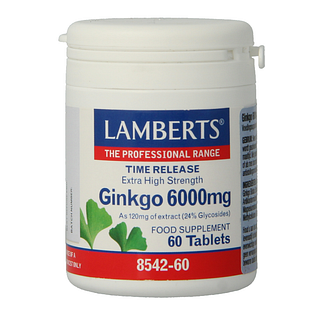 Lamberts Ginkgo 6000mg Time Release Tabletten 60TB