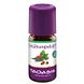 Taoasis Balsamic Essential Oil Blend 5ML