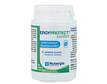 Nutergia Ergyprotect Confort Spijsvertetring Capsules 60CP