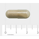 AOV 313 Vitamine C 500mg Vegacaps 90VCP Afmeting capsule