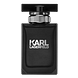 Karl Lagerfeld Pour Homme Eau de Toilette 100ML fles
