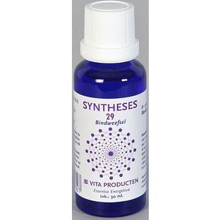 Vita Producten Vita Syntheses 29 Bindweefsel (Fibro) 30ML