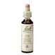 Bach Flower Remedies Wijnrank 32 20ML Bach Flower Remedies Wijnrank 32 20ML