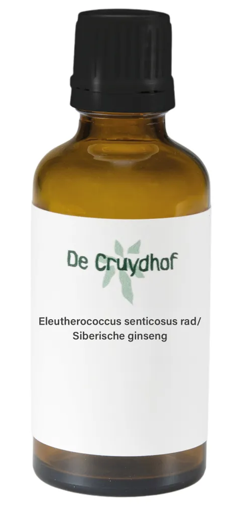 De Cruydhof Cruydhof Eleutherococcus Senticosus Rad/Siberische Ginseng Druppels 50ML