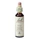 Bach Flower Remedies Olijf 23 20ML