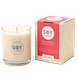 Soylites Soycandle Indulgence - Vanilla, Ginger & Grapefruit 70ML Indulgence Geurkaars met verpakking