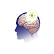 Vitakruid Ashwagandha 5% withanoliden KSM-66® & Bioperine® 60 90VCP