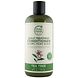 Petal Fresh Conditioner Scalp Treatment Tea Tree 475ML