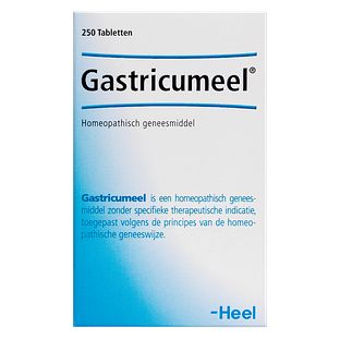 Heel Gastricumeel Tabletten 250TB