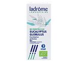 Ladrôme Eucalyptus Globulus Olie Bio 30ML