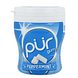 Pur Gum Peppermint 70GR