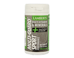 Lamberts Multi-Guard Sport Tabletten 60TB