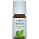 Jacob Hooy Essentiële Olie Basilicum 10ML
