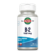 Kal Vit B2 Riboflavin 100mg Tabletten 60TB