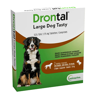 Drontal Hond Large Dog Tasty 2ST