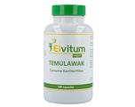 Elvitum Temulawak Curcuma Xanthorrhiza Capsules 100CP