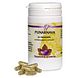 Holisan Punarnava Capsules 60CP