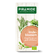 Piramide Thee Lindebloesem 20ZK
