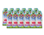 Cool Bear Framboos Appel Vruchtensiroop 12x750ML
