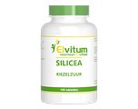 Elvitum Silicea Tabletten 100TB
