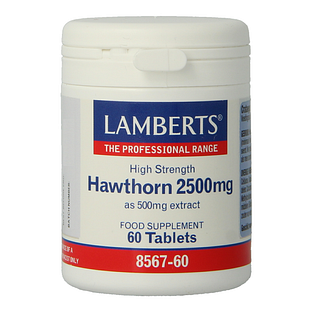 Lamberts Crataegus 2500mg Tabletten 60TB