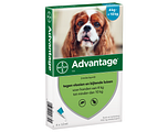 Advantage Hond 100 4ST