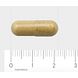AOV 1007 Levernorm Capsules 60VCP Afmeting capsule