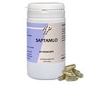 Holisan Saptamlo Capsules 60CP