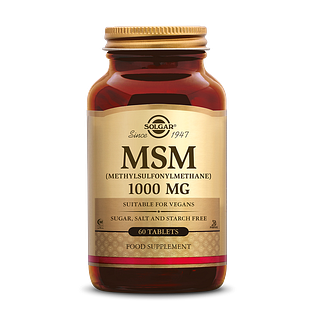 Solgar MSM 1000 mg Tabletten 120TB