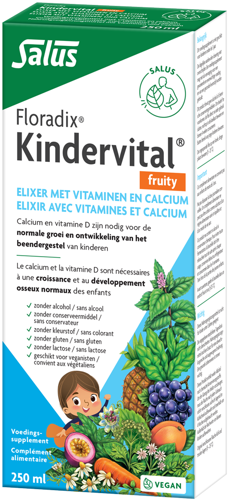 Salus Floradix Kindervital Fruity 250ML