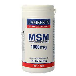 Lamberts MSM 1000mg Tabletten 120TB