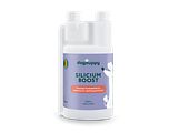 Dogsuppy Silicium Boost 250ML