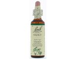 Bach Flower Remedies Walnoot 33 20ML