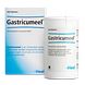 Heel Gastricumeel Tabletten 250TB