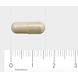 AOV 1106 Beta 1,3 Glucaan Capsules 60VCP
