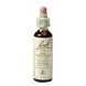 Bach Flower Remedies Rode Kastanje 25 20ML Bach Flower Remedies Rode Kastanje 25 20ML