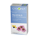 Cydonia Propolis, Aloe Vera, Echinacea Vaginaaltabletten 12ST
