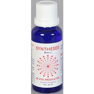 Vita Producten Vita Syntheses Bron 5 Existentie 30ML