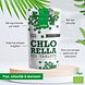 Purasana Biologische Chlorella Tabletten 500TB voordelen