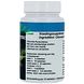 Endy Colomaris Chlorella Tabletten 300tb 280GR