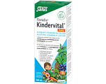 Salus Floradix Kindervital Fruity 250ML Salus Floradix Kindervital Fruity 250ML