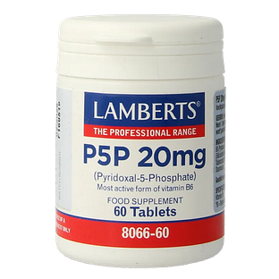 Lamberts P5P 20 mg Tabletten 60TB
