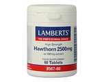 Lamberts Crataegus 2500mg Tabletten 60TB