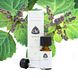 Chi Natural Life Patchouli Etherische Olie Cultivar 10ML