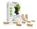 Soria Natural Soria Ribes Nigrum XXI Capsules 30CP