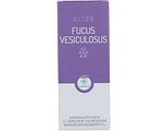 RP Vitamino Analytic Oligoplant Fucus Vesiculosus 120ML