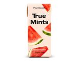 True Gum Mints Watermelon Pastilles 13GR
