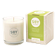 Soylites Soycandle Energise - Peppermint, Spearmint, Geranium & Ginger 220ML Energise Geurkaars met verpakking